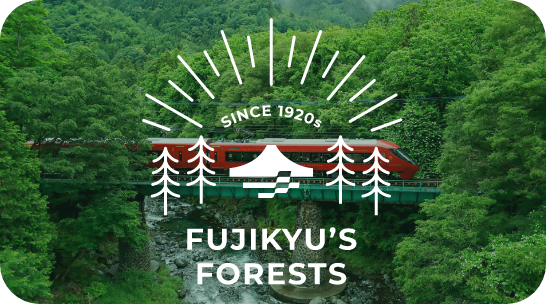 Fujikyu’s Forests